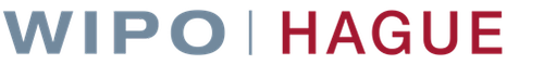 Hague The International Design System