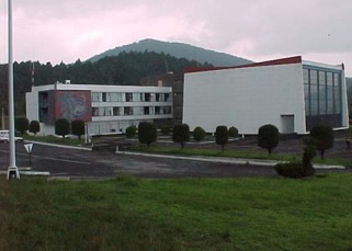 BUILDING TRIGA