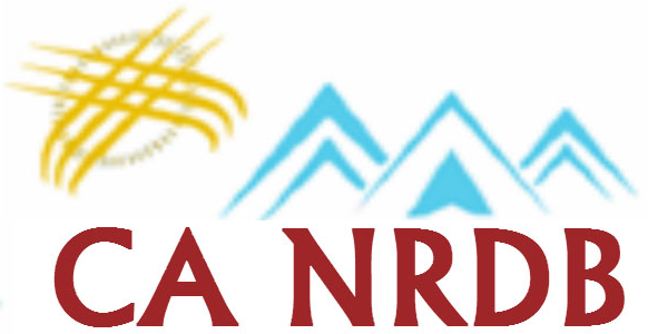 NewLogo