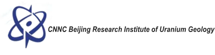 bruig logo